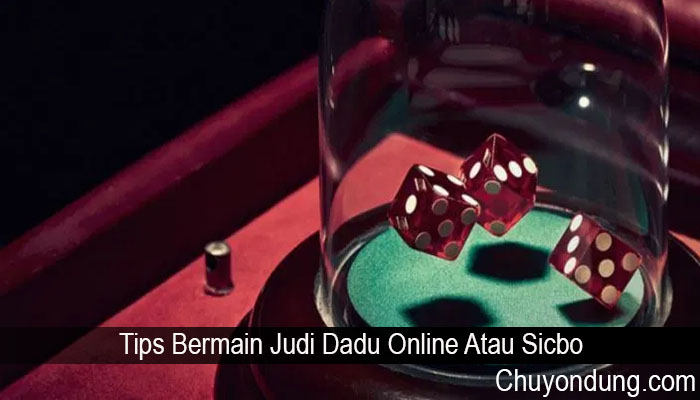 Tips Bermain Judi Dadu Online Atau Sicbo - Chuyondung.com